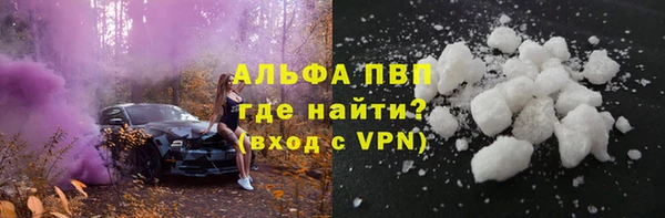 PSILOCYBIN Лагань